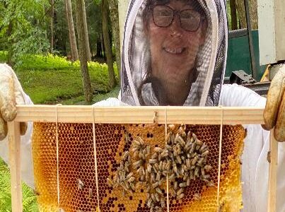 Pest Control For Bees: Tips And Tricks Pest Control For Bees: Tips And Tricks